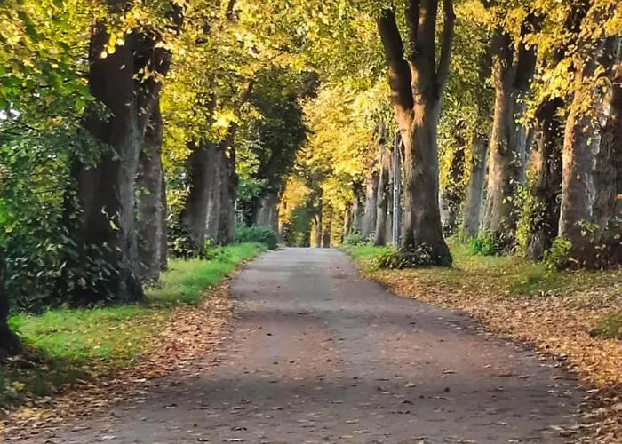 Family In Marienmuenster
